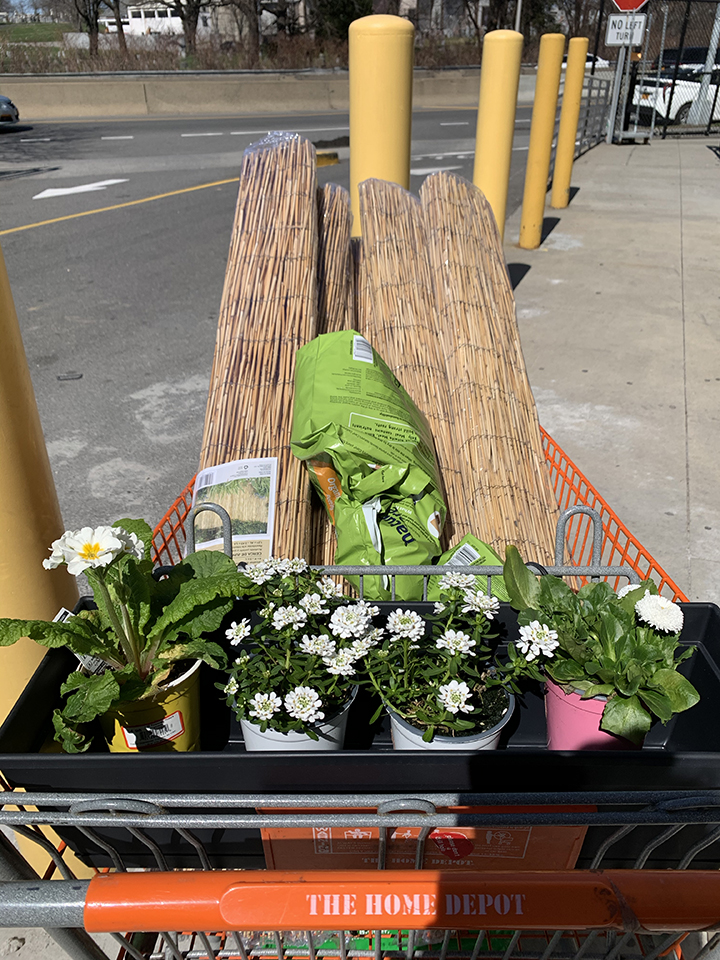 flowers-in-cart